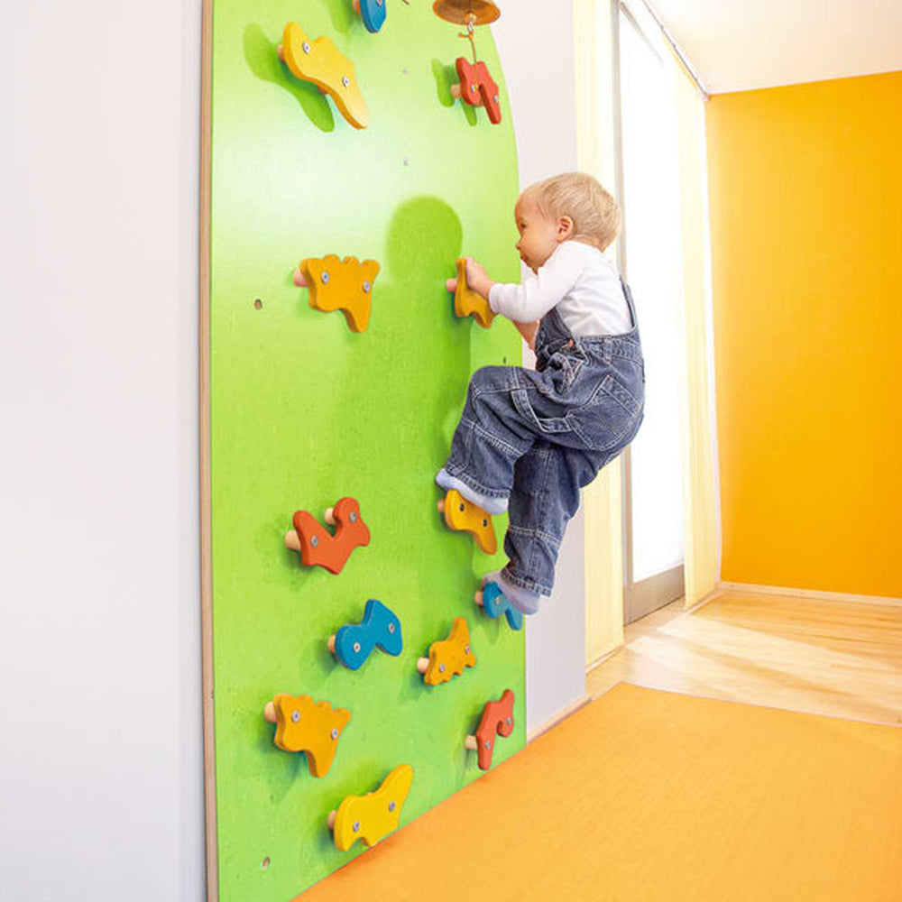 Crib Climbing Wall